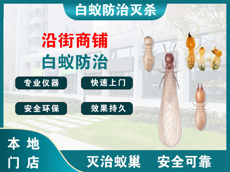 扬州市沿街商铺白蚁防治