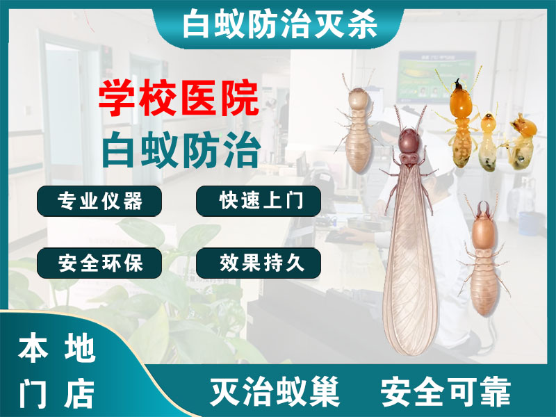 扬州市学校医院白蚁防治