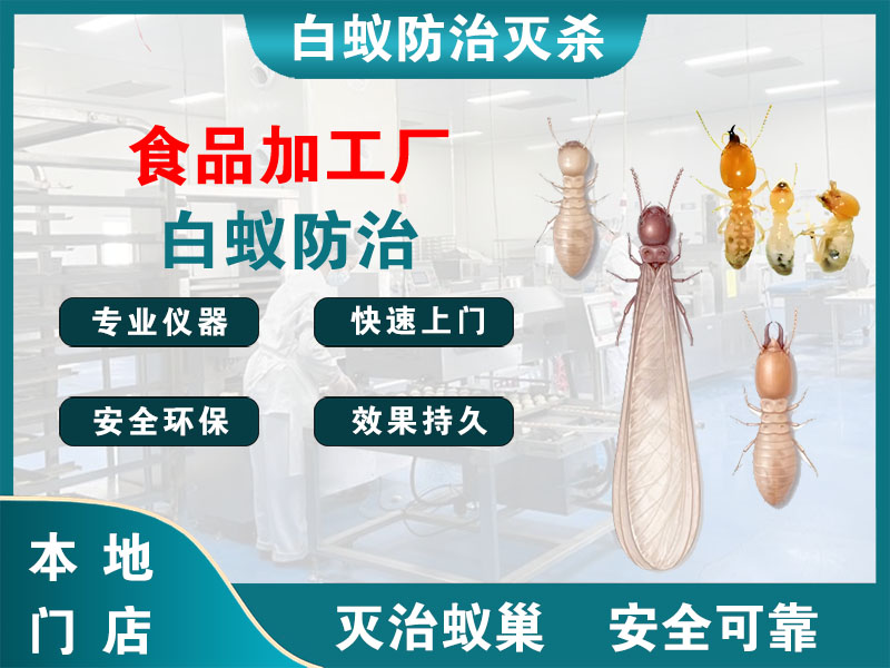 扬州市食品加工厂白蚁防治