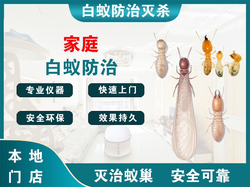 扬州市家庭白蚁防治