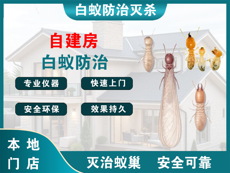 扬州市自建房白蚁防治