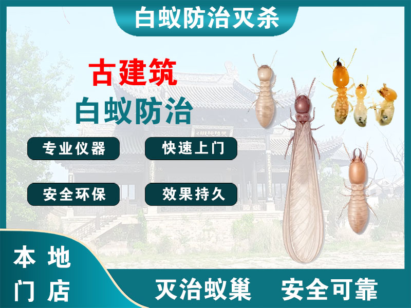 扬州市古建筑白蚁防治