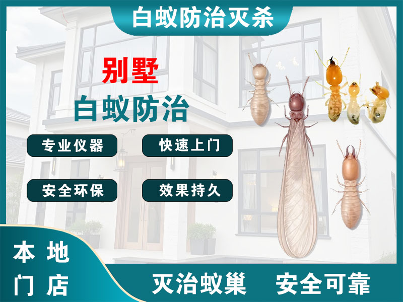 扬州市别墅白蚁防治