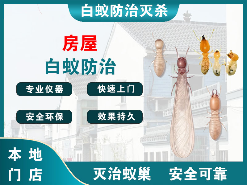 扬州市房屋白蚁防治